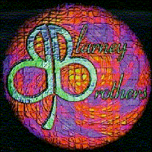 Blarney Bros.-Feel the Groove!